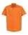 234339.webp