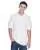 23503.webp