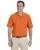 23518.webp