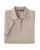 23589.webp