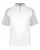 237169.webp