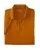 23722.webp