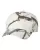 238850.webp