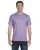 23887.webp