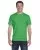 23888.webp