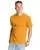 23905.webp