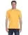 23912.webp
