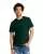 23915.webp