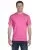 23920.webp