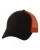 239328.webp