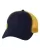 239334.webp