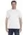 23944.webp
