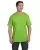 23949.webp