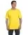 23953.webp