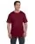 23955.webp