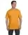 23961.webp