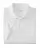 23978.webp