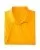 23979.webp