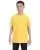 2409.webp