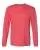 241009.webp