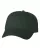 241543.webp
