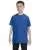 2421.webp