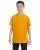 2422.webp