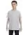 2423.webp
