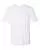 242528.webp