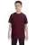 2426.webp
