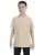 2427.webp
