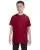 2429.webp