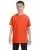 2430.webp