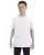 2431.webp