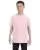2432.webp