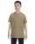 2433.webp