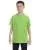 2434.webp