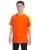 2439.webp