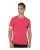 244069.webp