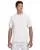 24409.webp