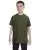 2441.webp