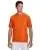 24422.webp