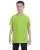 2443.webp