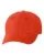 244445.webp
