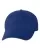 244447.webp