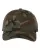244462.webp