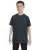 2445.webp