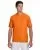 24451.webp