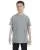 2446.webp