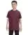 2447.webp